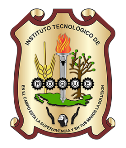 TecNM Roque
